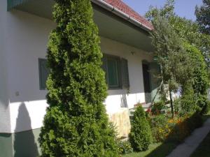 A garden outside Babarczi Üdülőház