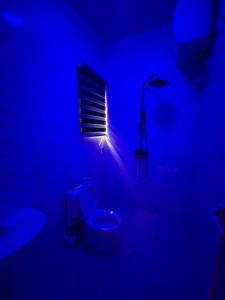 a blue room with a toilet and a lamp at Modern 1bedroom Duplex in Port Harcourt