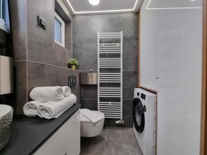 łazienka z toaletą i umywalką w obiekcie Osijek Luxury Center - self check in, free private parking w mieście Osijek