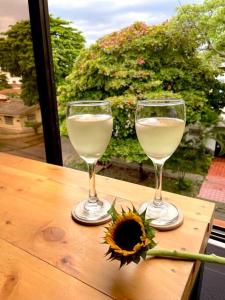 twee glazen witte wijn en een zonnebloem op een tafel bij Apartaestudio Zona Norte - Vipasa in Cali