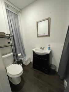 a bathroom with a toilet and a sink and a mirror at Charming Philly Row 2 Units in Philadelphia