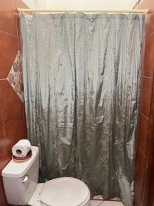 a bathroom with a shower curtain and a toilet at Apartamento Los Monges in León