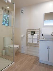 een badkamer met een toilet en een wastafel bij Wanaka's Private Escape in Wanaka