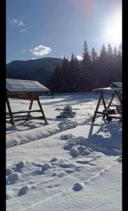 two picnic tables covered in snow with trees in the background at Na Hutori in Tatariv