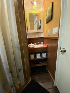 a bathroom with a sink and a mirror at Woodhouse Cottages And Ranch in Prince George