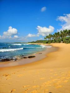 a sandy beach with palm trees and the ocean at Green Waves HomeStay in Nonagegama