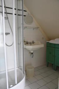 a bathroom with a shower and a sink at Le Clos du Petit Dannezy in Cour-Cheverny