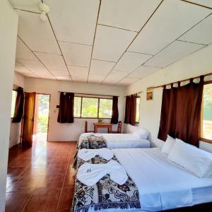Habitación con 2 camas, mesa y ventanas. en Milía Amazon Lodge, en Iquitos