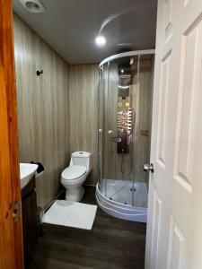 uma casa de banho com um chuveiro, um WC e um lavatório. em Alojamiento rústico Belloto (3) em Quilpué