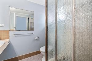 a bathroom with a shower with a toilet and a sink at Commodore Motor Inn in Albury