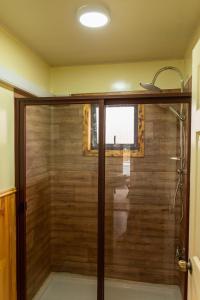 a shower with a glass door in a bathroom at CABAÑAS DULCE VISTA in Castro