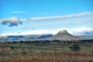 a mountain in the middle of a field with a cow at Royal Hotel Capertee in Capertee