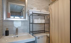 W łazience znajduje się umywalka, toaleta i prysznic. w obiekcie Lakefront house with Firepit w mieście Picton