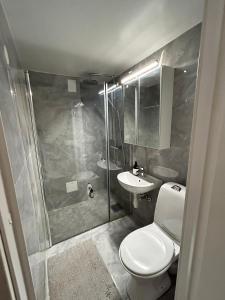 a bathroom with a shower and a toilet and a sink at Beautiful and central apartment in Oslo and Bærum in Kolsås