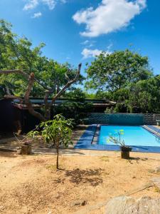 a swimming pool in a yard with a tree at Hotel Ceylon Heritage in Yala