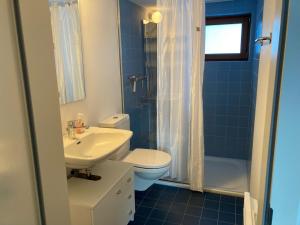 een badkamer met een wastafel, een toilet en een douche bij Chalet Bergfink in Rosswald