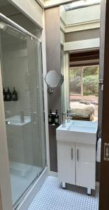 La salle de bains est pourvue d'une douche en verre et d'un lavabo. dans l'établissement Fernview on Falls, à Kalorama