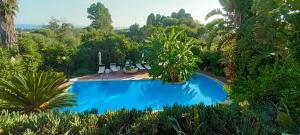 an overhead view of a swimming pool in a garden at Villa Barbara in Giardini Naxos