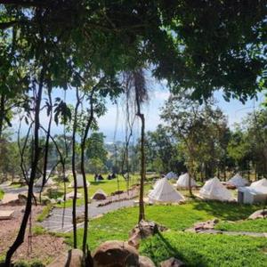 een groep tenten in een veld met bomen bij Ozone Story-โอโซนสตอรี่ 