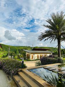 ein Haus mit einer Palme und einem Pool in der Unterkunft Levillage Bảo Lộc in Tang Jran Dring