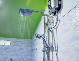 eine Dusche im Bad mit grüner Decke in der Unterkunft Nine Arch Homestay in Ella