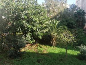 Galeriebild der Unterkunft Happy Family Stay with Garden View Casablanca in Casablanca