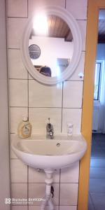 a bathroom with a sink and a mirror at Villa Fortuna Natur in Lackenhof