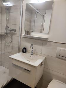 a bathroom with a sink and a mirror and a toilet at Ferienwohnung Katrin Spindler in Ilmenau