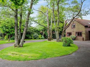 una casa con un patio con árboles y un camino de entrada en 2 Bed in Christchurch 91999 en Burton