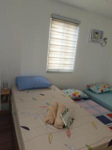 1 Schlafzimmer mit 2 Einzelbetten und einem Fenster in der Unterkunft Niana’s Place 2BR w Garden, Internet, Netflix in Legazpi