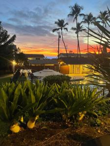 un montón de plátanos en un patio con una puesta de sol en Your Slice of Paradise in Kona en Kailua-Kona