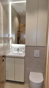 亞霍里納的住宿－Apartman 506 Aparthotel Zlatni Javor，浴室配有白色水槽和卫生间。