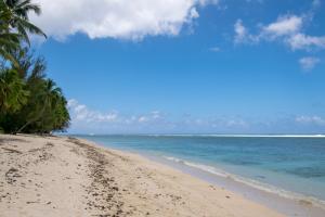 a beach with palm trees and the ocean at Shoreline Escape Rarotonga in Rarotonga
