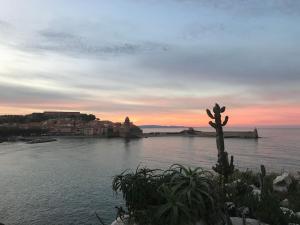 コリウールにあるAppartement Collioure centre & GARAGE PRIVATIFの夕日の水の景色