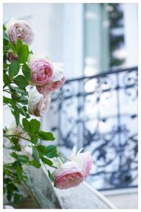 un montón de rosas rosas delante de una ventana en Villa Aigarden maison d'hôtes, en Aviñón