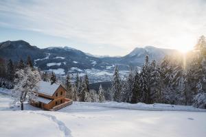 Chalet Jochwand Bad Goisern a l'hivern