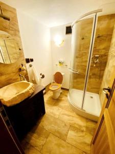 a bathroom with a shower and a toilet and a sink at Útulný dům pro odpočinek 