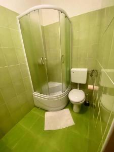ein grünes Bad mit einem WC und einer Glasdusche in der Unterkunft Crazy House Hostel in Pula