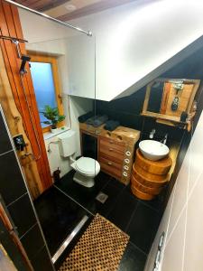 ein kleines Bad mit WC und Waschbecken in der Unterkunft Vineyard cottage Matej in Trebnje