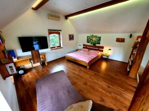 Großes Zimmer mit einem Bett und einem Flachbild-TV. in der Unterkunft Vineyard cottage Matej in Trebnje