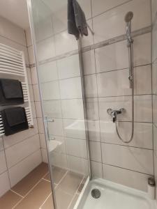 a shower with a glass door in a bathroom at Boxenstopp in der Vulkaneifel in Boos