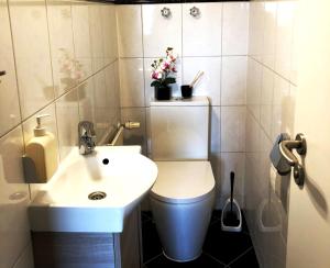 y baño con aseo blanco y lavamanos. en Ferienwohnung im Bergschlößl Nr. 26 - Eberle, en Oberaudorf