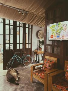 un gato tirado en el suelo en una sala de estar en Chang's Hideaway homestay ConDao, en Con Dao