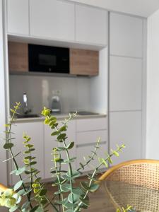 una cocina con armarios blancos y una planta en el primer plano en Numancia Suites en Soria