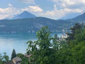a view of a lake with mountains in the background at Chez Laurette et Louis in Ugine +22 photos