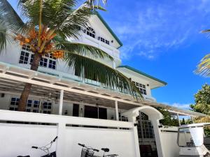 two bikes parked in front of a building with a palm tree at Biosphere Inn in Dharavandhoo