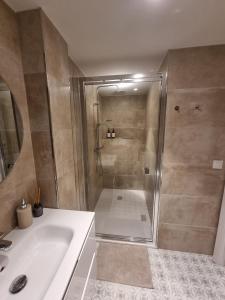 a bathroom with a shower and a white sink at Apartamento centro Santander in Santander