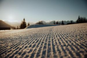 CHALET G12 - Mountain Luxury Apartments v zime