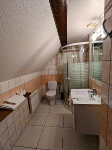 a bathroom with a toilet and a sink at Hotel le Chasseur in Illkirch-Graffenstaden
