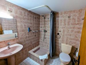 y baño con ducha, aseo y lavamanos. en Hotel le Chasseur, en Illkirch-Graffenstaden